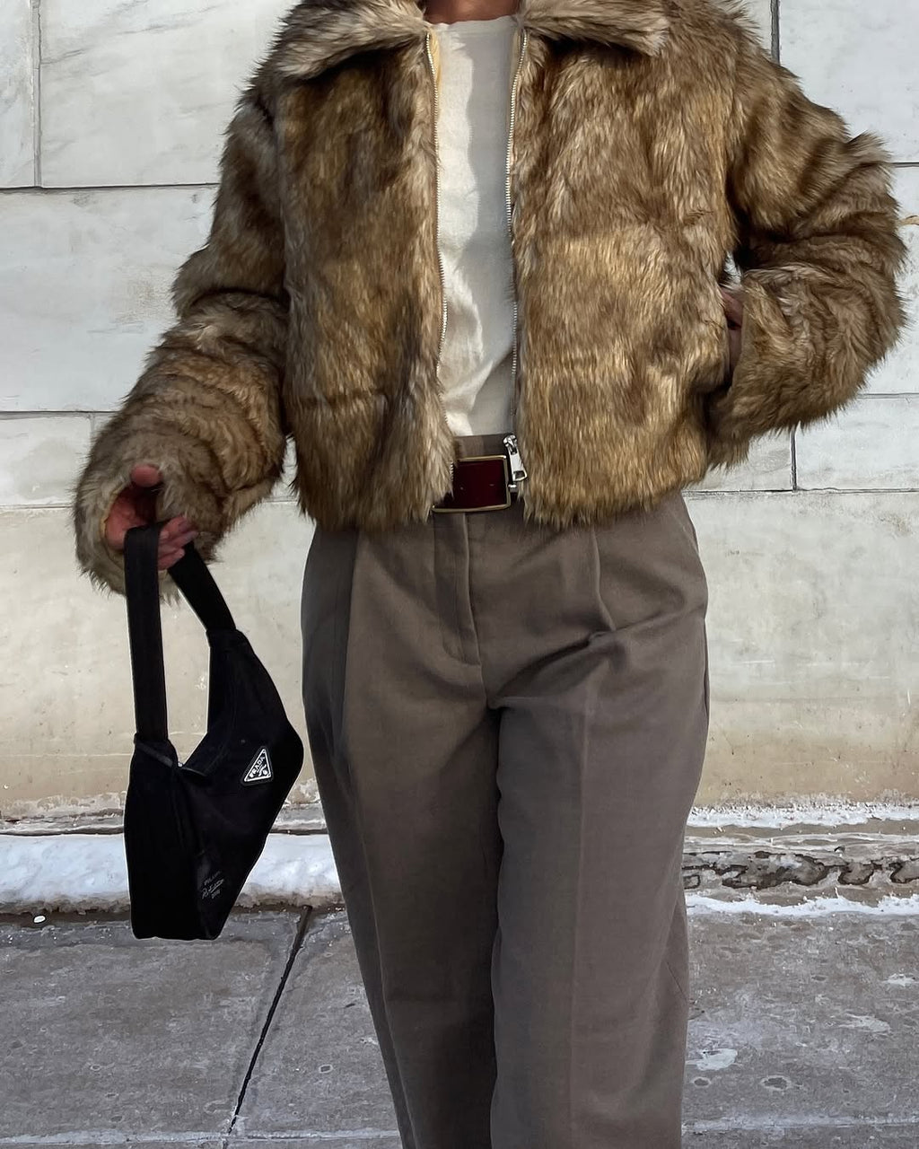 Women Stand Collar Long Sleeve Artificial Fur Effect Plush Jacket Short Coat