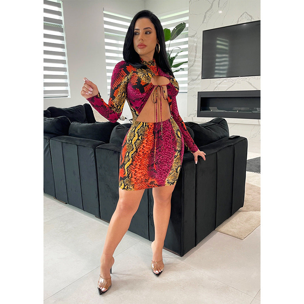 Autumn Winter Women Clothing Sexy Cutout Long Sleeve Narrow Women Dress